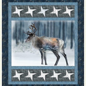 Star Struck PDF Quilt Pattern-Panel Quilt Pattern-Instant Download by Kari Nichols for Quilting Renditions