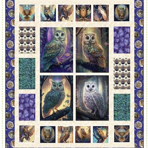 Op de afbeelding: Een Birds Eye View paneelquilt met uil illustraties in een bosrijke omgeving. De quilt heeft een blauwe rand met maan- en sterpatronen, en de tekst "Birds Eye View" en "Quilting Renditions" zijn zichtbaar.