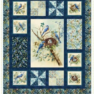 Boxed In PDF Quilt Pattern-Panel Quilt Pattern-Instant Download by Kari Nichols for Quilting Renditions