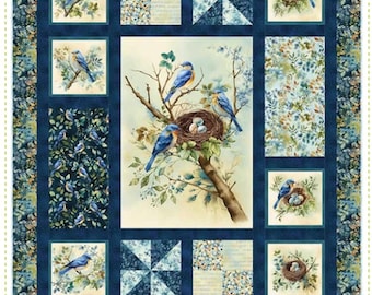 Boxed In PDF Quilt Pattern-Panel Quilt Pattern-Instant Download by Kari Nichols for Quilting Renditions