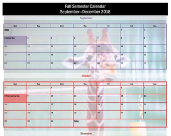 2018-2019 Academic Semester Calendar