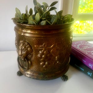 Brass Lion’s Head Footed Cache Pot / Planter, Vintage