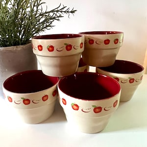 Six Small Apple Patterned Ceramic Plant Pots