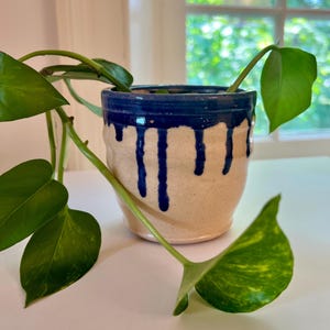 May include: A ceramic planter with a cream-colored base and a dark blue rim. The blue paint drips down the sides, creating a unique design. Green leafy plant stems and leaves are visible, adding a natural element to the composition.
