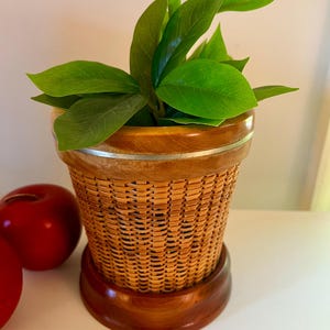 May include: A woven wicker planter with a wooden base and rim, holding vibrant green leafy plants. The planter has a natural, light brown color with a silver accent band. Two red decorative apples are visible to the left of the planter.