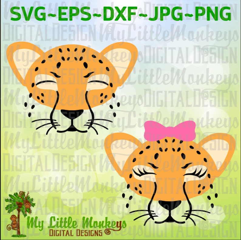 Download Zoo Animal Faces SVG Bundle Cheetah svg Sloth svg Hippo | Etsy