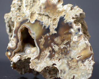 May include: A rough, unpolished piece of petrified wood featuring a central cavity lined with translucent, banded agate in shades of brown, cream, and dark amber. The exterior surface is textured, porous, and light tan in color.