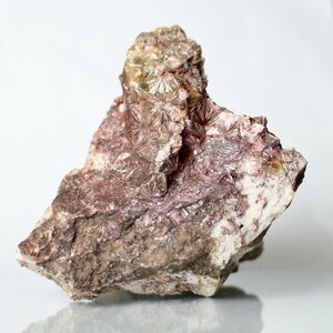 May include: A natural mineral specimen featuring a cluster of radiating, star-like formations atop a rough, textured matrix. The stone displays a mix of reddish-brown, tan, and white hues, with a crystalline appearance.