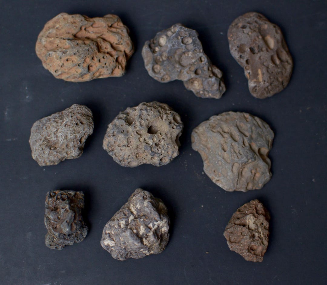 Visicular Rocks Lot of Small Vesicular Basalt Lava Rocks | Natural Aquarium & Terrarium ...