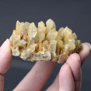 May include: A cluster of translucent, pale yellow quartz crystals with sharp, pointed terminations. The mineral specimen features a rough, rocky base and exhibits a natural, crystalline structure with varying shades of light gold and amber throughout.