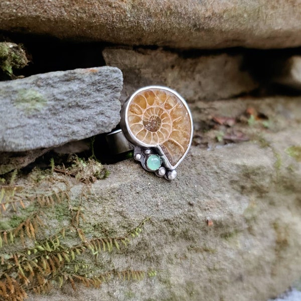 Ammonite Fossil & Gemstone Statement Ring, Shell Ring, Fossil Jewelry