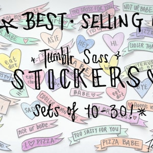 TUMBLR SASS, stickers uit de jaren 80/90: 6-30 verschillende glanzende stickers; brutaal, ugh alsof, Clueless, de ontbijtclub, mooi in roze, zestien kaarsen
