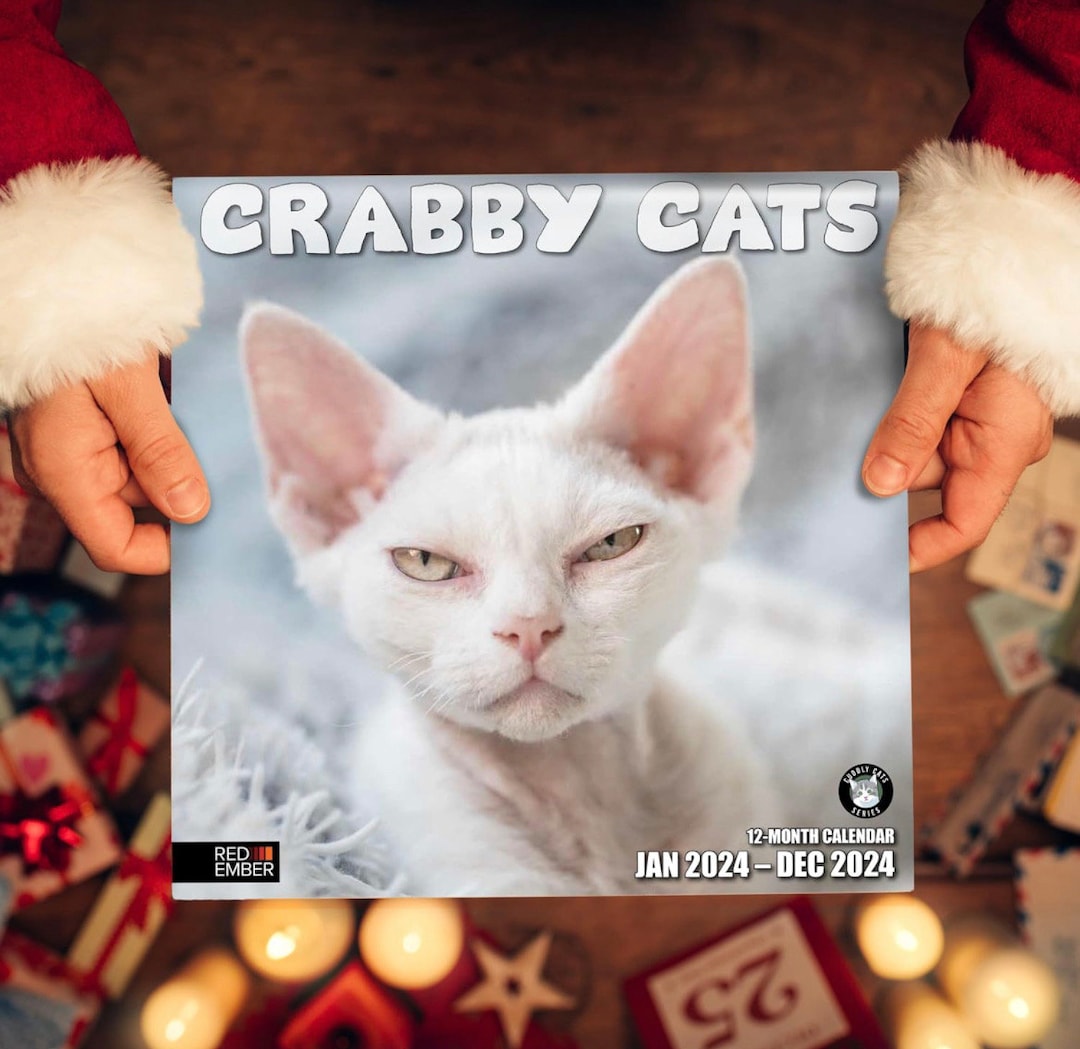 CRABBY CATS Calendar 2024 Calendar Your CHOICE 12 Month Etsy