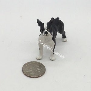 Miniature Boston Terrier Dog, Dollhouse Pet