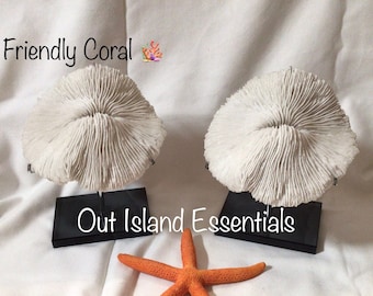 Faux Mushroom Coral Display I White Mushroom Coral I Faux Ocean Coral I  5 1/2” Mushroom Coral |  Faux White Coral I White Display Coral