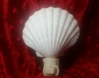 Seashell Night Light I Night Light I Shell Night Light I Scallop Clam Night Light I Conch Shell Light I Lambis Night Light I Pectin Light