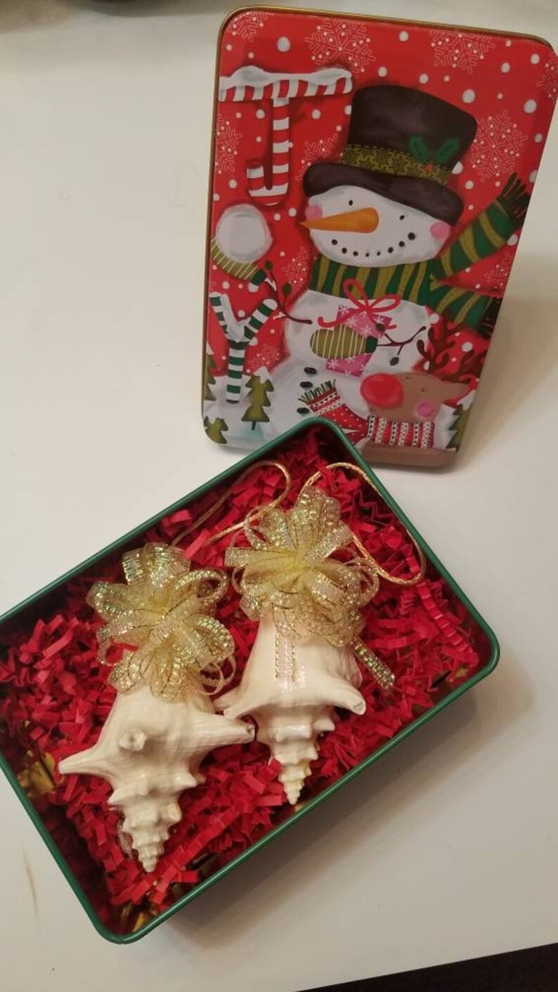 Glitter Conch Shell Beach Wedding Favors Conch Shell Conch Shell Ornament Seashell Christmas Ornament Nautical Decor Coastal Decor Home Decor Ornaments Accents Deshpandefoundationindia Org