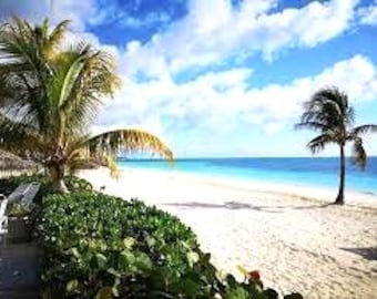 Authentic Bahamas Beach Sand, Grand Bahama Coral Beach - 8oz
