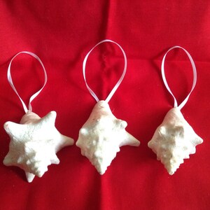 Conch Shell Ornament, Conch Shell, Glitter Conch Shell, Coastal Decor, Seashell Christmas Ornament, Nautical Decor, Beach Wedding Favors