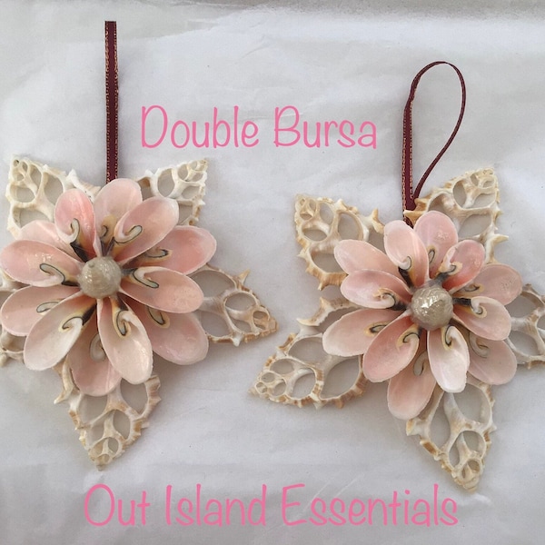 Double Bursa Snowflake | Seashell Ornament | Seashell Christmas Ornament | Nautical Ornament | Coastal Ornament | Coastal Christmas