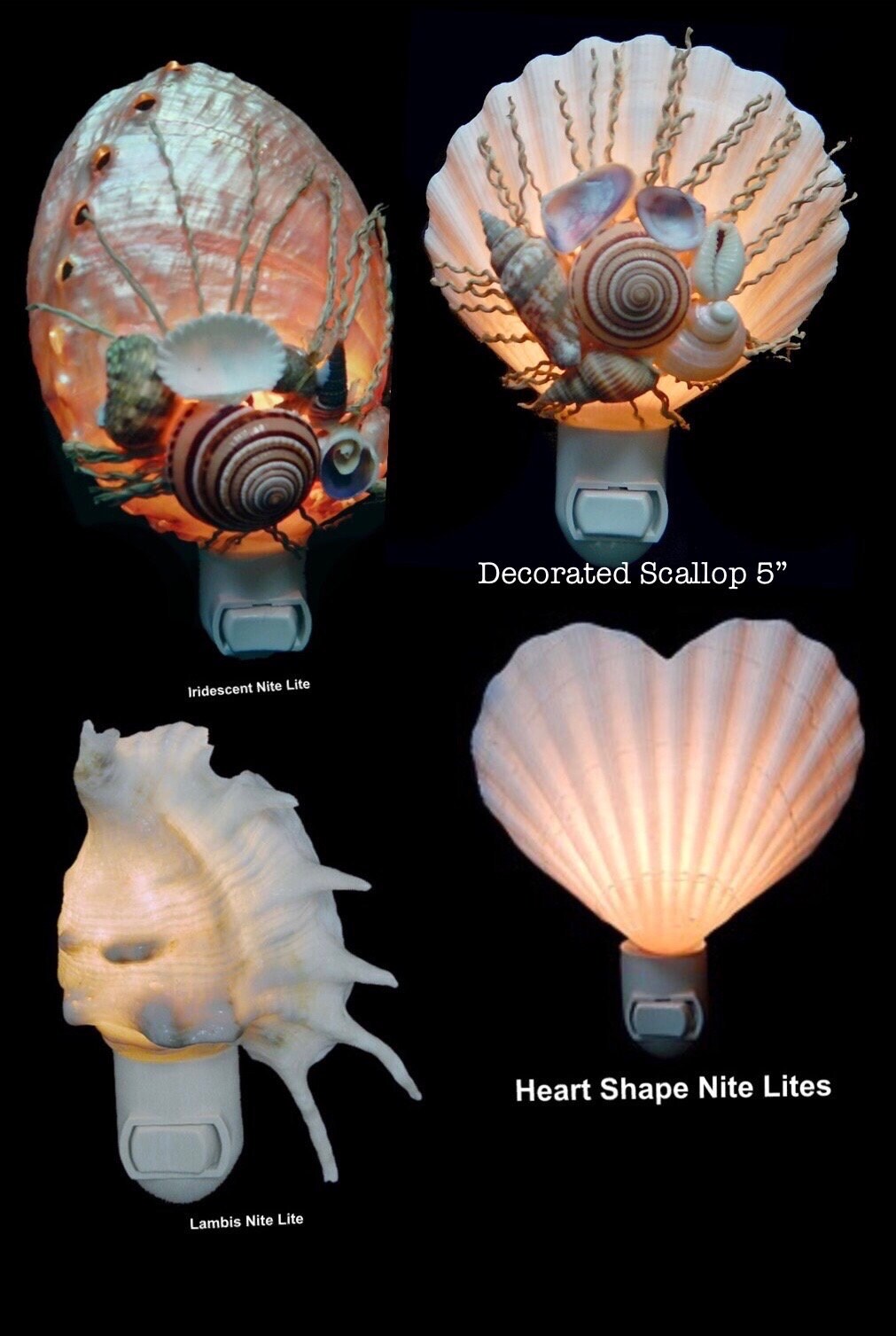 Night Lighti Nursery Light I Seashell Night Light I Night Light I Shell ...