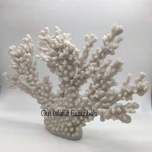13&quot; Faux Coral Display | White Coral Centerpiece I Coral Decoration | Eco Friendly Coral | Display Coral | Faux Coral Decor