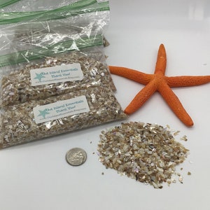 1 taza de conchas de abulón trituradas | Conchas trituradas | Conchas artesanales trituradas | Conchas marinas trituradas | Conchas artesanales | Conchas trituradas diminutas