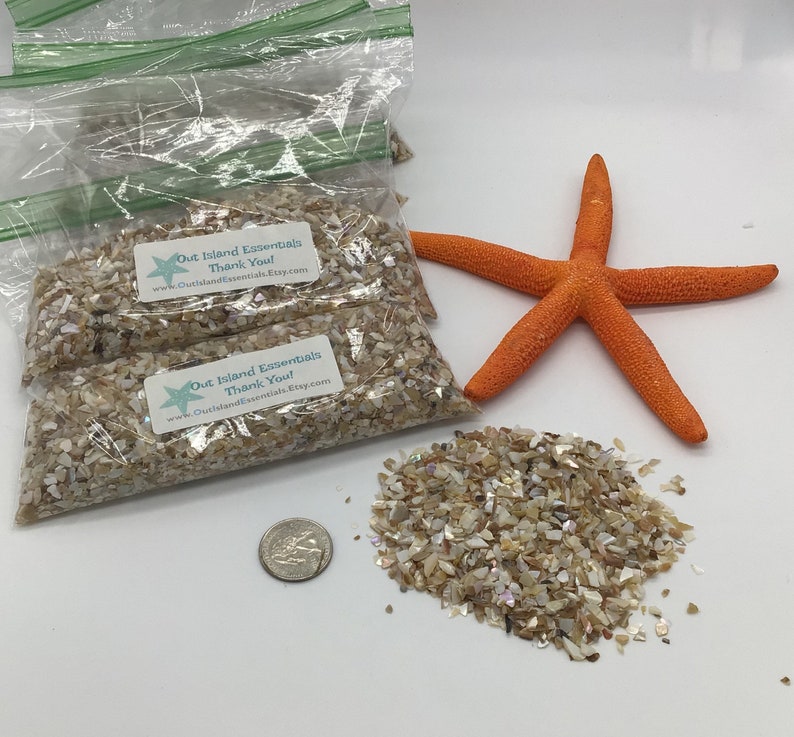 1 Cup Crushed Abalone Shells I Crushed Shells I Crushed Craft Etsy