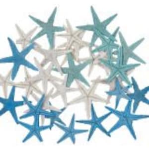 Back In Stock | 30 Dyed Mix Aqua, White And Green Small Starfish | Craft Starfish | Tiny Wholesale Starfish | 1 - 2” Starfish