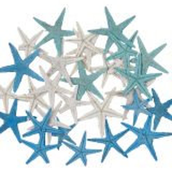 Back In Stock | 30 Dyed Mix Aqua, White And Green Small Starfish | Craft Starfish | Tiny Wholesale Starfish | 1 - 2” Starfish