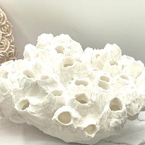 Puede incluir: Una gran escultura decorativa de coral blanco texturizado con numerosos agujeros redondos y abiertos. El coral está colocado sobre una superficie similar al mármol. Una columna decorativa con tallas en forma de rosa es visible en el fondo.