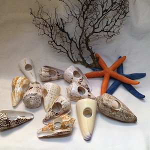 Coastal Napkin Ring Holders I Napkin Rings I Coastal Dinning I Coastal Cottage Decor I Coastal Place Settings