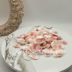May include: A collection of small, pale pink seashells with darker pink accents, arranged on a white and gray marble-patterned surface. The text "Out Island Essentials" is visible. A decorative, rose-covered frame is in the background.
