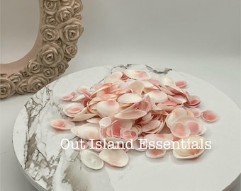 May include: A collection of small, pale pink seashells with darker pink accents, arranged on a white and gray marble-patterned surface. The text "Out Island Essentials" is visible. A decorative, rose-covered frame is in the background.