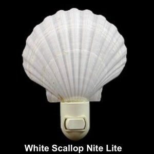 Night LightI Nursery Light I Seashell Night Light I Night Light I Shell Night Lite I Scallop Clam Night Light I Conch Shell Light