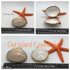 Seashell Jewelry Box I Seashell Pill Box I Seashell Ring Holder I Shell Purse I Coastal Wedding Ring Pillow - UK