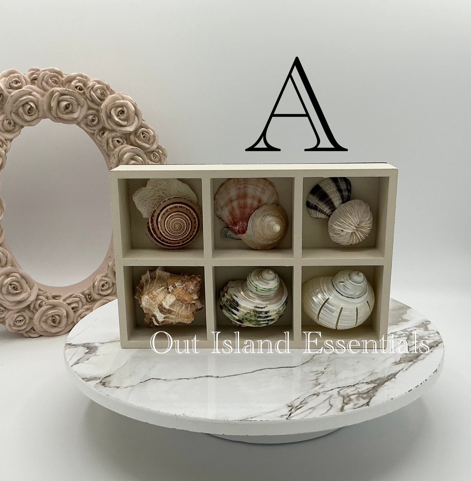 OOAK Collector's Seashells I Seashell Collection Case I Tabletop ...