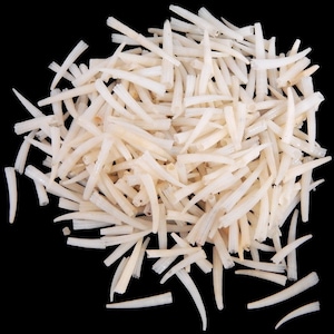 1/2 Cup Tusk Shells I White Seashells I Tusk Shells I Wholesale Shells I Craft Shells I Approximately 1/2 - 1&quot;
