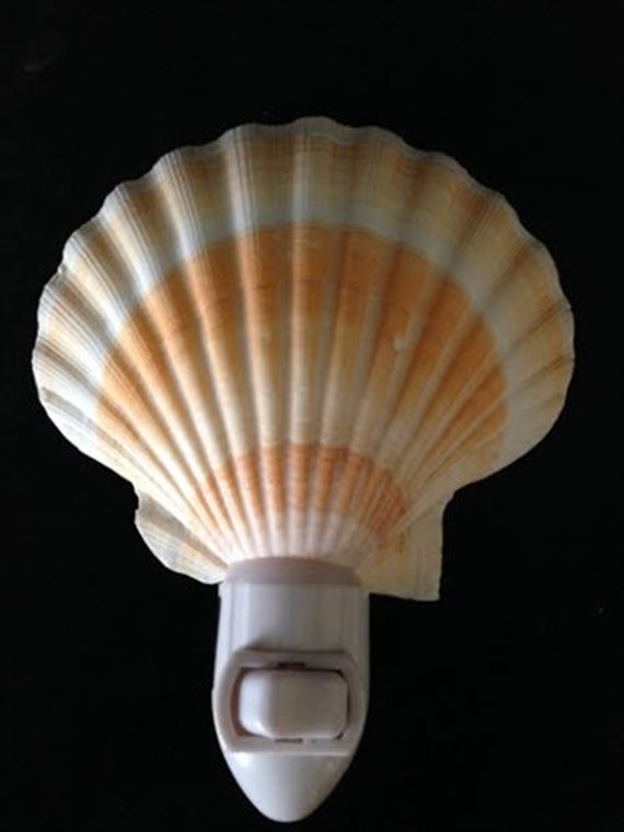 Clam shell night light deals