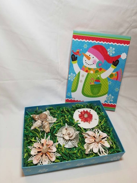 Coastal Christmas Gift Coastal Gift Seashell Christmas Ornament Gift 7 Pack Gift Box of Assorted Christmas ornaments