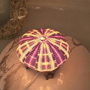 May include: A purple and yellow sea urchin lamp with a wooden base. The lamp is lit and casting a warm glow.