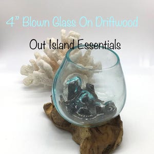 4&quot; Blown Glass On Driftwood I Glass Terrariums I Terrarium Container I One Of A Kind Pieces