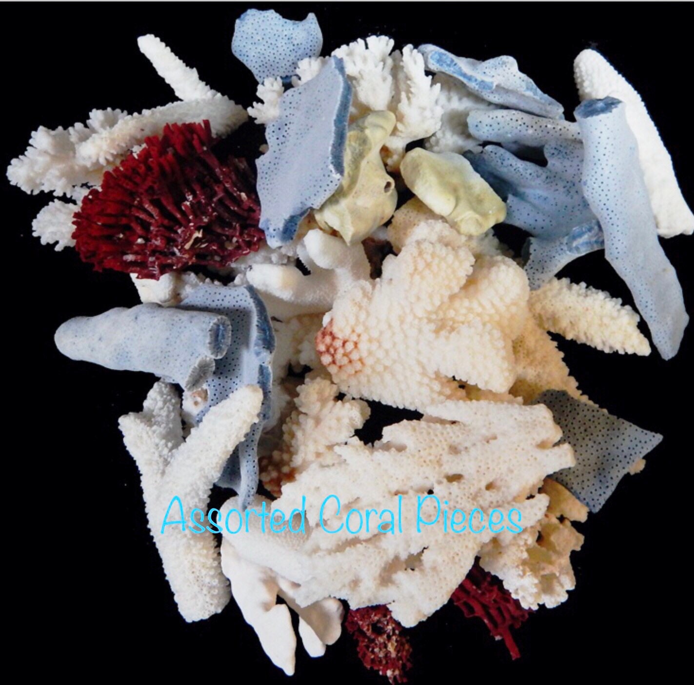 One Pound of Assorted Coral I Natural Color And White Coral Pieces I Assorted Coral Pieces I Various Size Coral Pieces