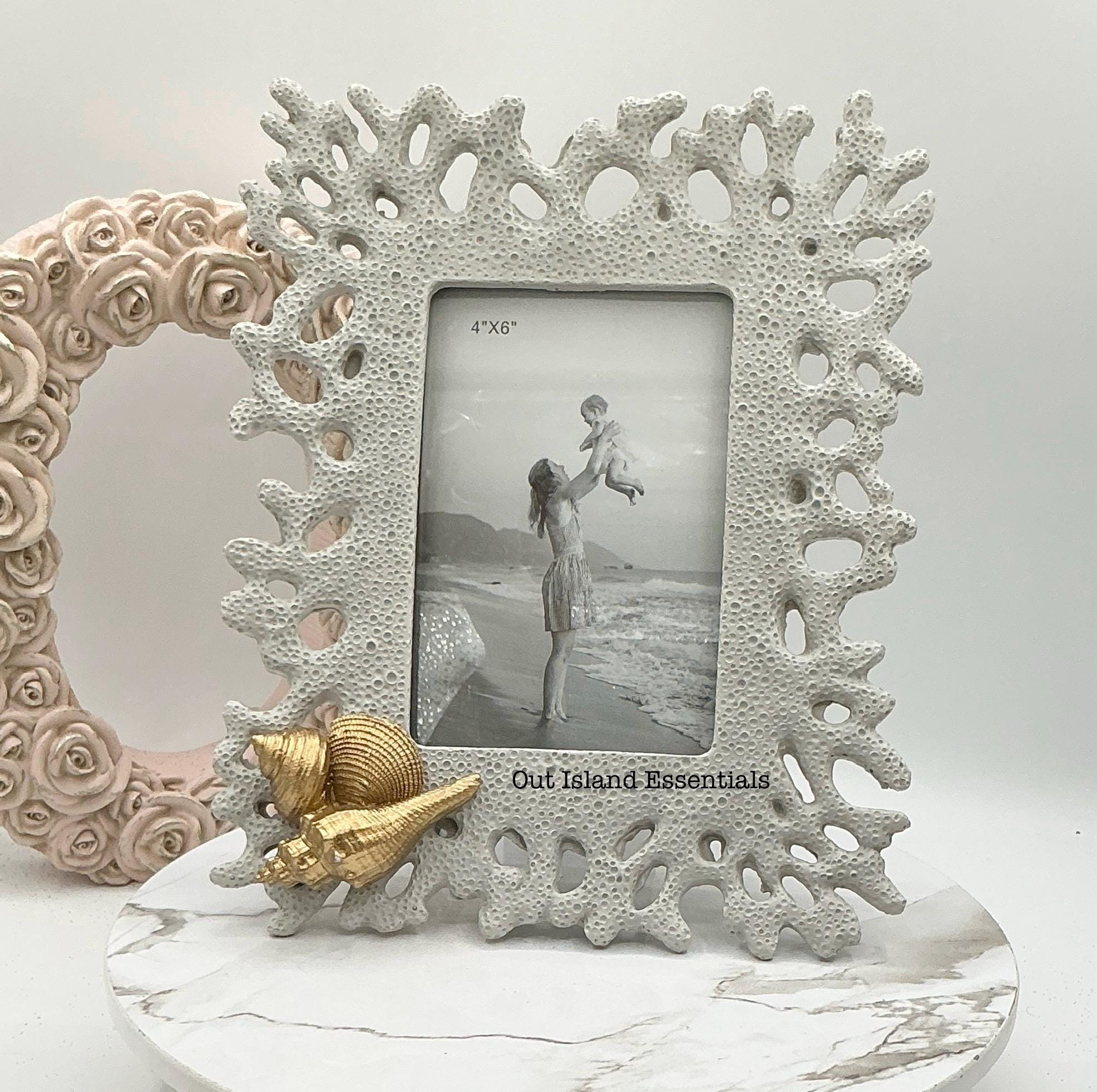 アンティーク標本 貝 珊瑚 海藻 アートフレーム イタリアフィレンツェ