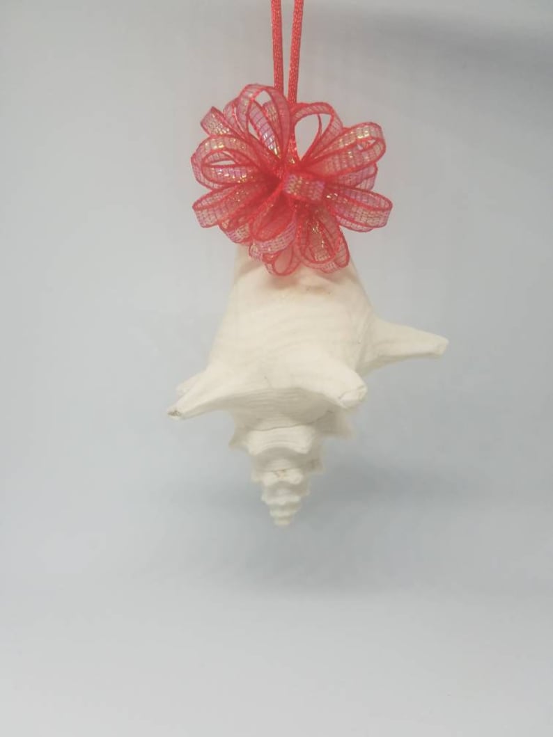Mini Conch Shell Christmas Ornament I Seashell Christmas Ornament I ...