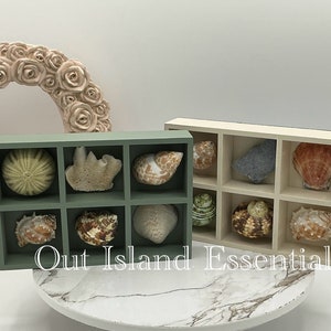 OOAK Collector&#39;s Seashells I Seashell Collection Case I Tabletop Seashell Display Box I Collector Shells Display Case