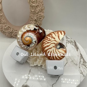 May include: Two night lights featuring a polished iridescent turban shell and a chambered nautilus shell. Each shell is mounted on a white plastic plug-in base. The text Out Island Essentials is visible between the shells. The items are displayed together.