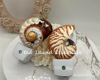 Stunning Night Light I Rare Nautilus Night Light I Sarmaticus Nightlight I Nursery Light I Bathroom Light I Hallway Light