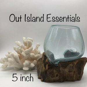 5&quot; Blown Glass On Driftwood I Glass Terrariums I Terrarium Container I One Of A Kind Pieces
