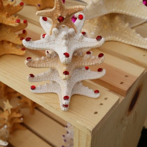 Decoração de árvore de natal de estrela do mar, árvore de natal de estrela do mar de strass, árvore de natal de praia de estrela do mar, árvore de natal de mesa
